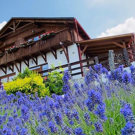 فندق Gold Horse Vendeghaz Szilvásvárad المظهر الخارجي الصورة