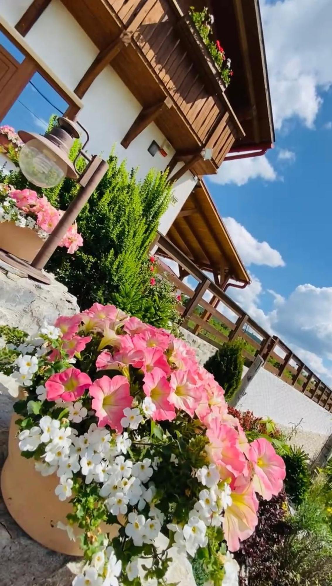 فندق Gold Horse Vendeghaz Szilvásvárad المظهر الخارجي الصورة