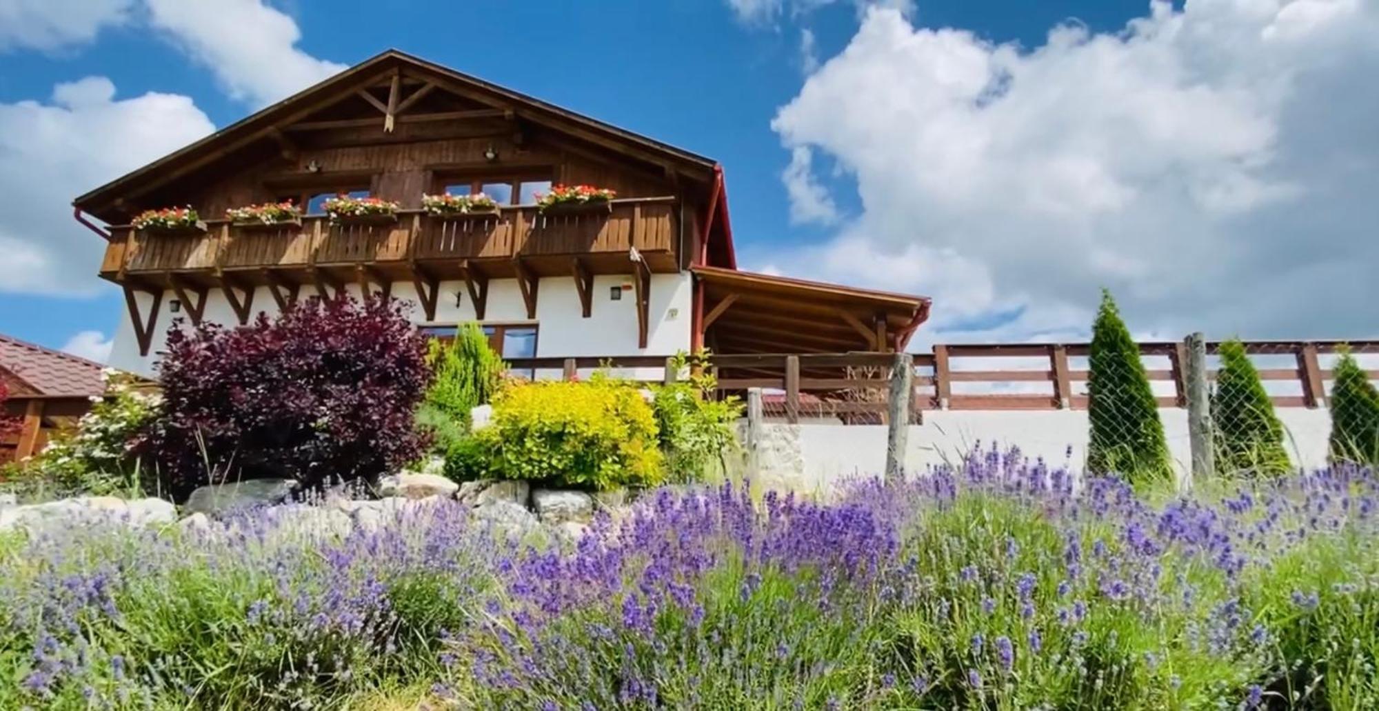 فندق Gold Horse Vendeghaz Szilvásvárad المظهر الخارجي الصورة